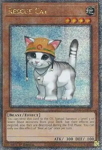Rescue Cat (Quarter Century Secret Rare)