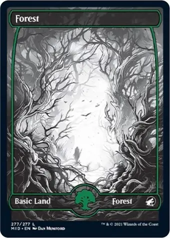 Forest (277)