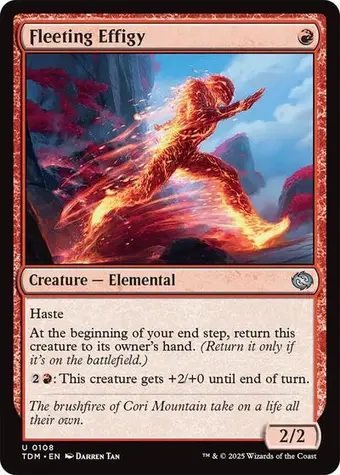 Fleeting Effigy