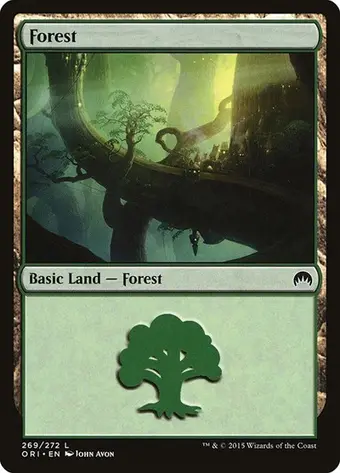 Forest (269)