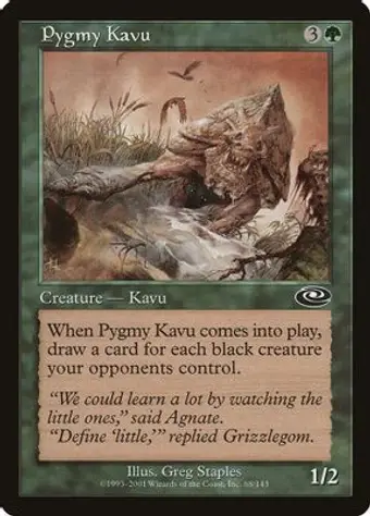 Pygmy Kavu