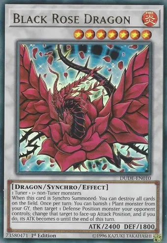 Black Rose Dragon