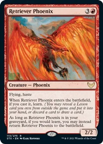 Retriever Phoenix