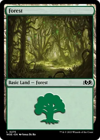 Forest (0275)