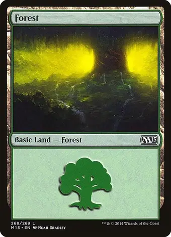 Forest (268)