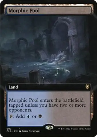 Morphic Pool (Extended Art)