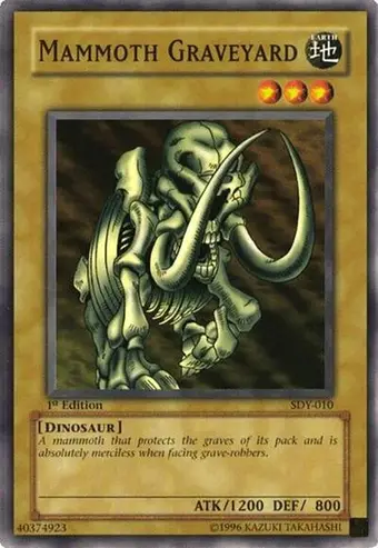Mammoth Graveyard