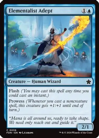 Elementalist Adept