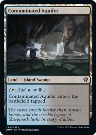 Contaminated Aquifer